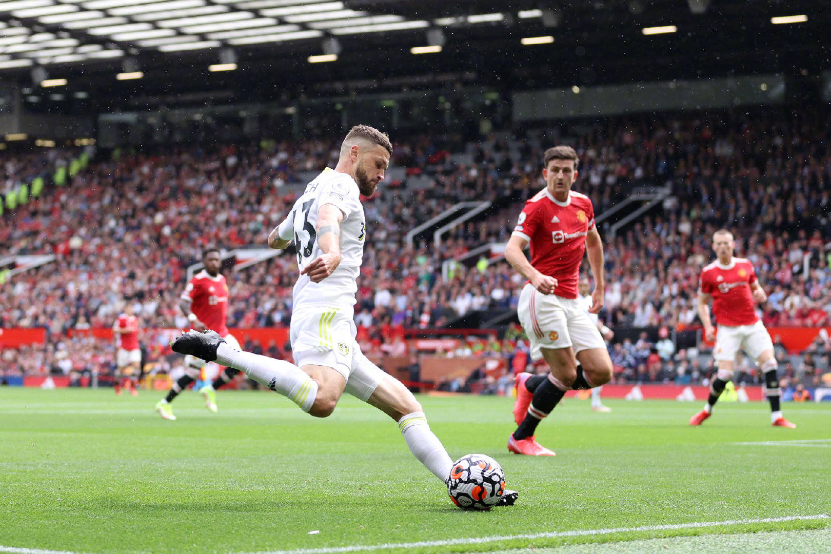 他们需要确 他们需要确